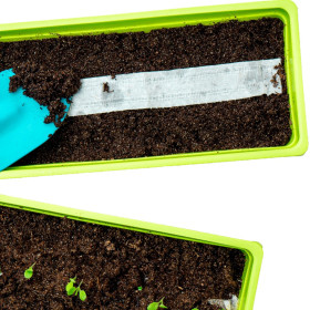 Výsevní pásky květin