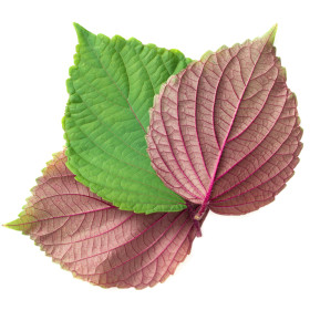 BIO asijská zelenina