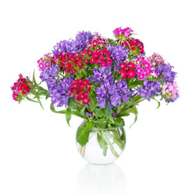 BIO okrasné rostliny