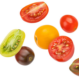 Nejprodávanější odrůdy rajčat