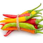 Nejprodávanější odrůdy chilli