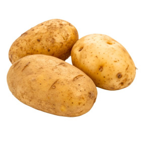BIO sadba barmbor