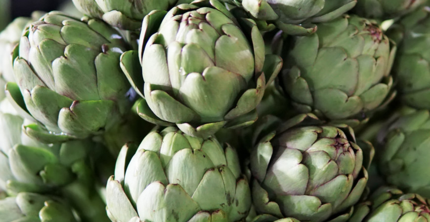 U nás nepříliš známá zelenina, je lahůdkou i léčivkou v jednom - artyčok