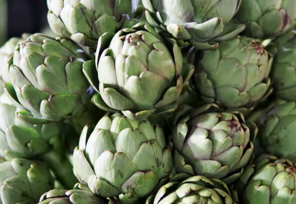 U nás nepříliš známá zelenina, je lahůdkou i léčivkou v jednom - artyčok