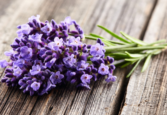 I jen jeden trs levandule provoní celou zahradu či terasu