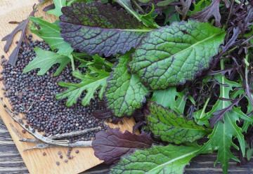 Že znáte jen pekingské zelí? Zkuste si letos vysadit i jiné druhy asijských zelenin - 2.část