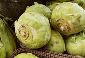 Při volbě správné odrůdy můžete kedlubny pěstovat od jara do zámrazu