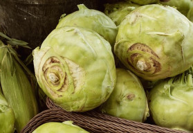 Při volbě správné odrůdy můžete kedlubny pěstovat od jara do zámrazu