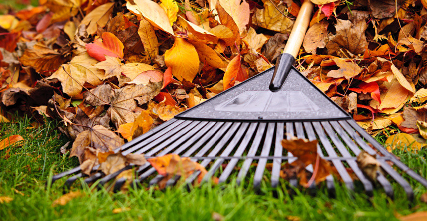 Připravte trávník na zimu, je nejvyšší čas