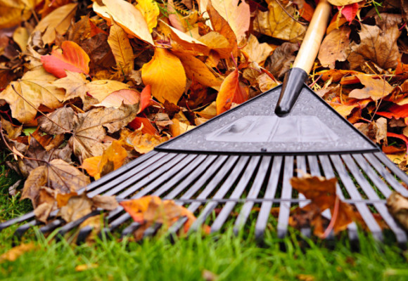 Připravte trávník na zimu, je nejvyšší čas