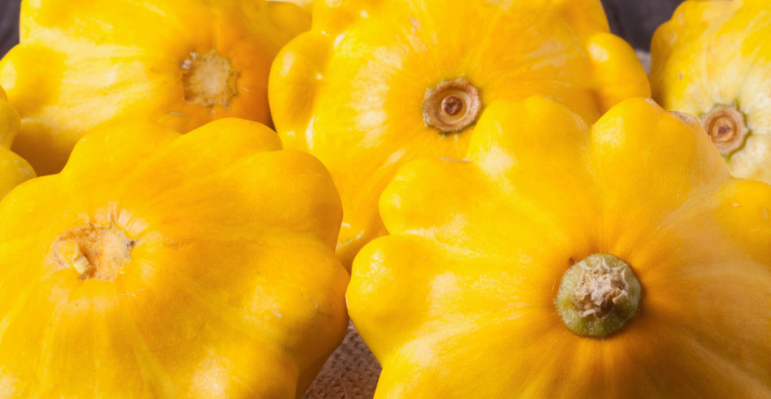 Jak správně pěstovat patizony? 