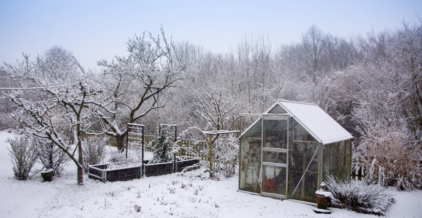 Sníh - chrání, ale také škodí