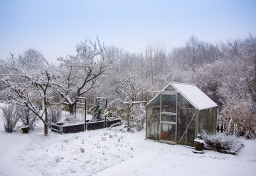 Sníh - chrání, ale také škodí