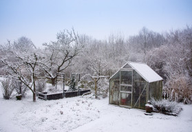 Sníh - chrání, ale také škodí