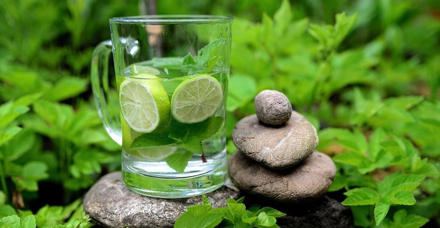 Bylinky, které by neměly chybět ve vaší zahradě (1. část)