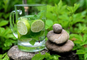 Bylinky, které by neměly chybět ve vaší zahradě (1. část)