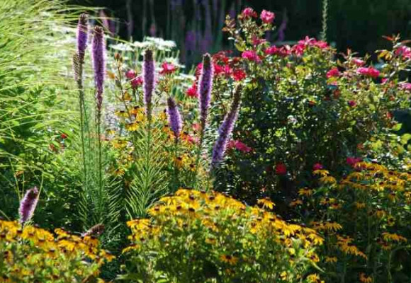 Srpen v zahradě - zahradnická sezóna ještě nekončí!