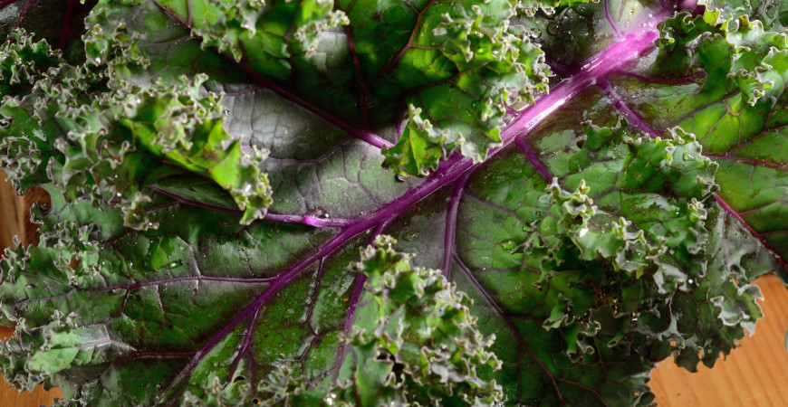 Chutný jako kapusta, také tak zdravý, ale odolnější. To je kadeřávek!