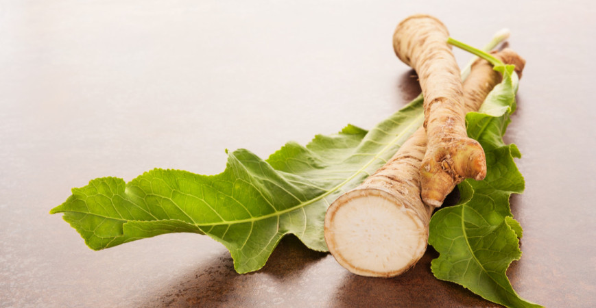 Křen, rostlina, kterou může pěstovat každý