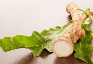 Křen, rostlina, kterou může pěstovat každý