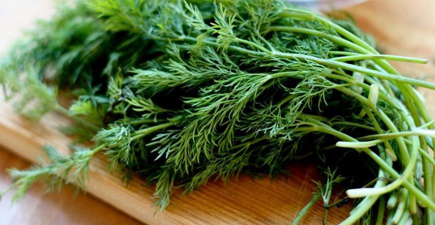 Máte rádi koprovku?