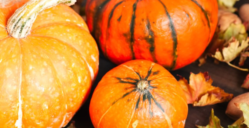 Začnou-li hrozit přízemní mrazíky, skliďte dýně a cukety, ať se vám úroda neznehodnotí