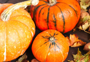 Začnou-li hrozit přízemní mrazíky, skliďte dýně a cukety, ať se vám úroda neznehodnotí