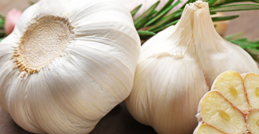 Budete-li konzumovat česnek, nebudete potřebovat antibiotika
