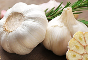 Budete-li konzumovat česnek, nebudete potřebovat antibiotika