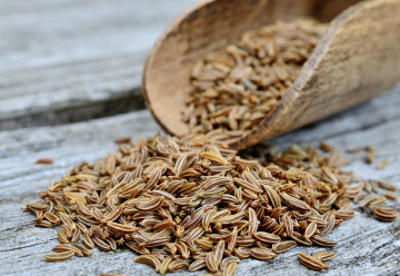 Kmín je jedním z nejstarších koření jak u nás, tak i ve světě 