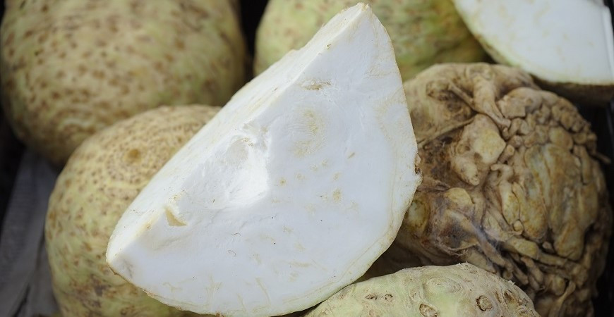 Zdravý, s širokým využitím v kuchyni - to je celer