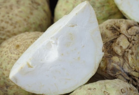 Zdravý, s širokým využitím v kuchyni - to je celer