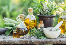 Jak zpracovat bylinky a využít jejich léčivé účinky?