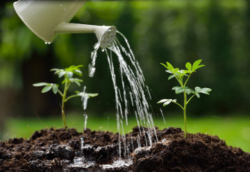 Bez zimy nevyklíčí - víte, co je stratifikace a jak na ni?