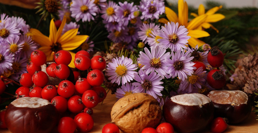 I na podzim může být zahrada rozkvetlá