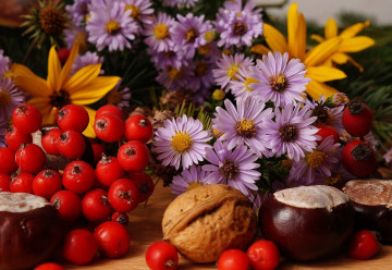 I na podzim může být zahrada rozkvetlá