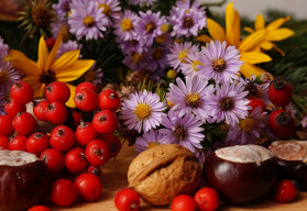 I na podzim může být zahrada rozkvetlá