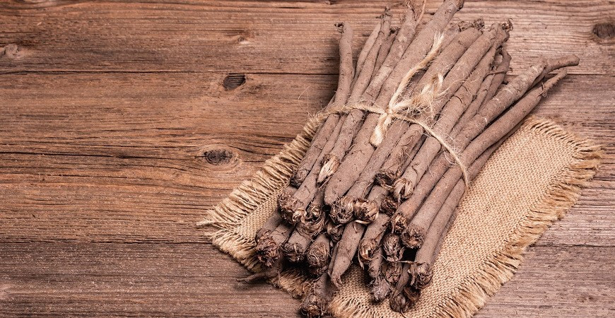 Dali byste si hadí mord španělský? 