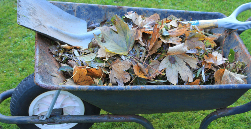 Je tu období padání listí 