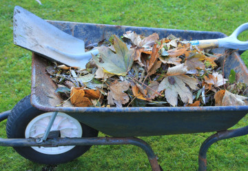 Je tu období padání listí 