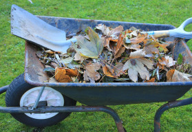 Je tu období padání listí 