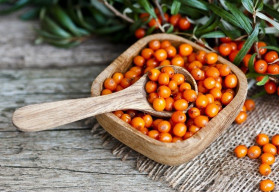 Plody rakytníku jsou koncentrátem důležitých vitaminů