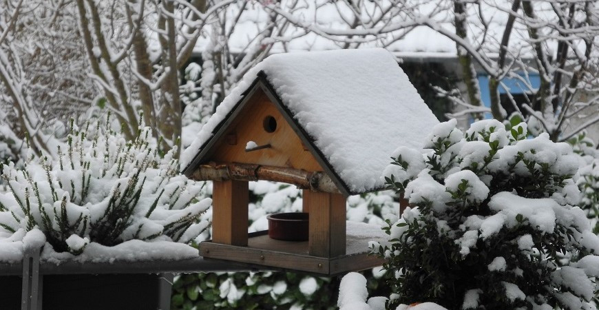 Je sice stále zima, ale ani tak na zahradě nezahálejte 