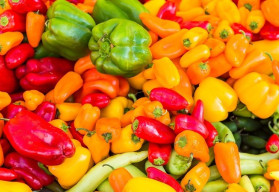 Čas pro výsev paprik je tady