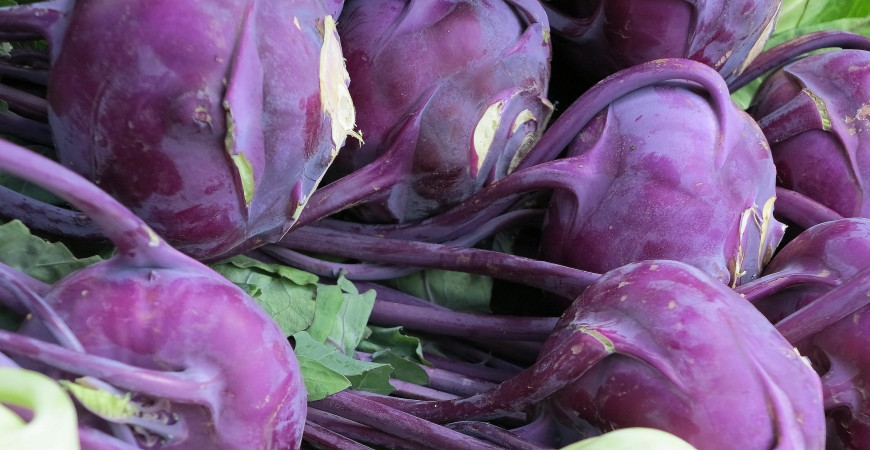 Jedna z prvních jarních zelenin - kedluben