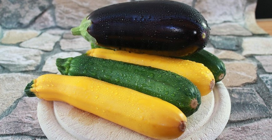 Jaké cukety pěstovat a co dělat, když „nerostou“?