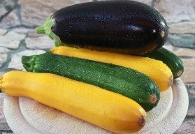 Jaké cukety pěstovat a co dělat, když „nerostou“?