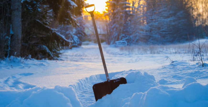 Zdánlivě spící zahrada potřebuje i v lednu vaši péči