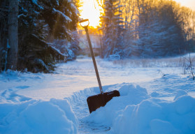 Zdánlivě spící zahrada potřebuje i v lednu vaši péči