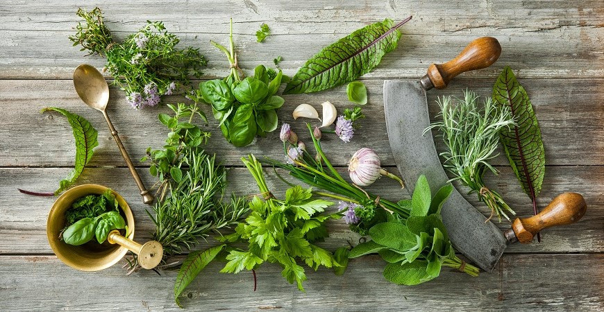 Čím povzbudit trávení, abychom se lépe vypořádali s těžkým jídlem?